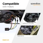speedbox-3-3-b-tuning-giant-1